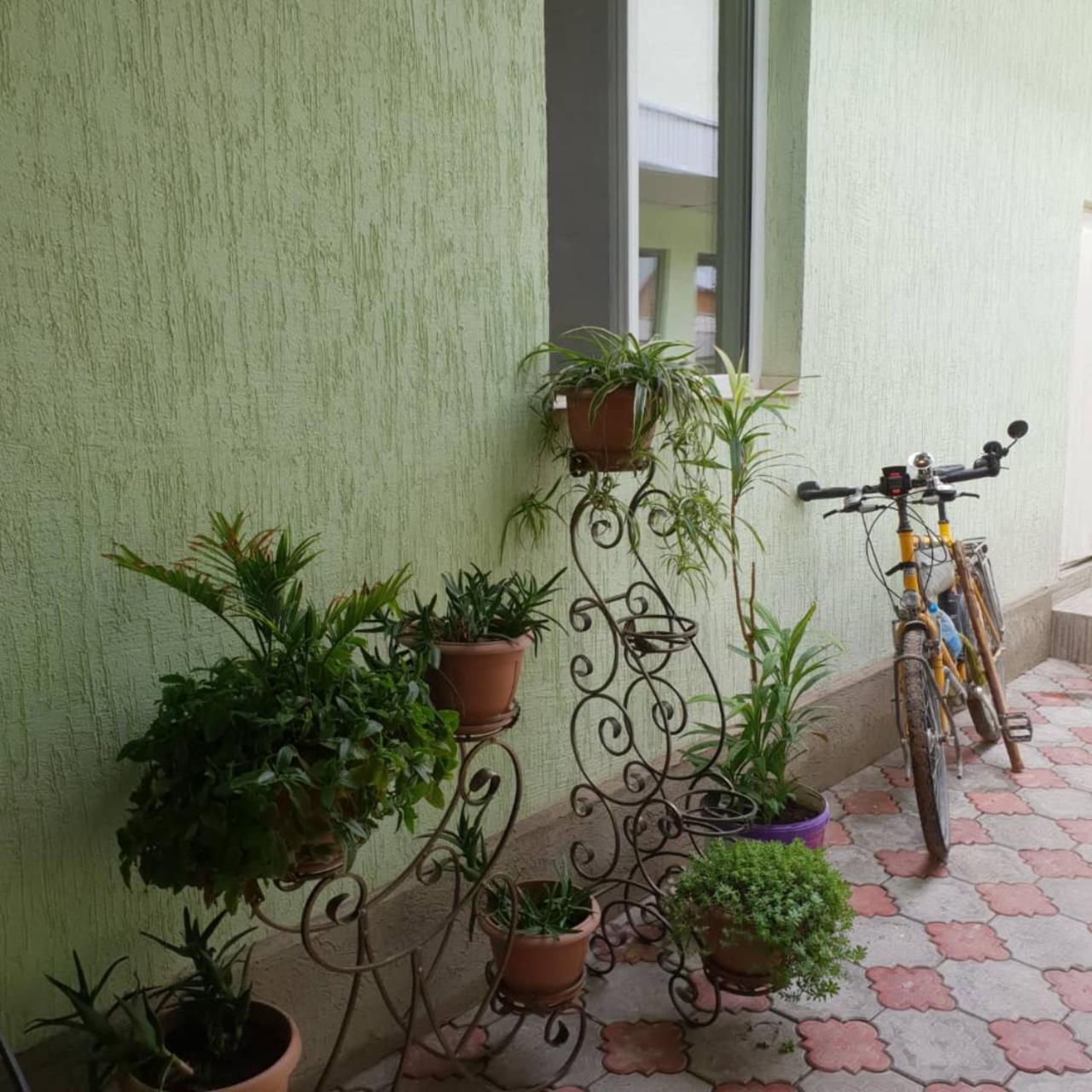 Datka Guest House Naryn ภายนอก รูปภาพ